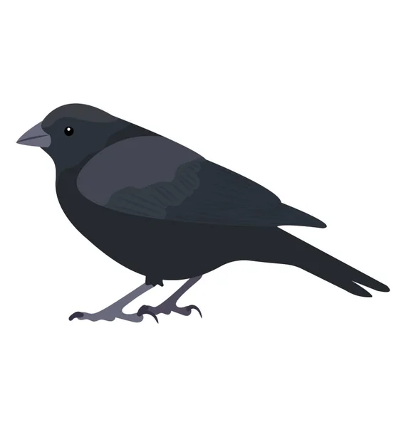 Pájaro Color Negro Con Plumas Cuervo Carroña — Vector de stock