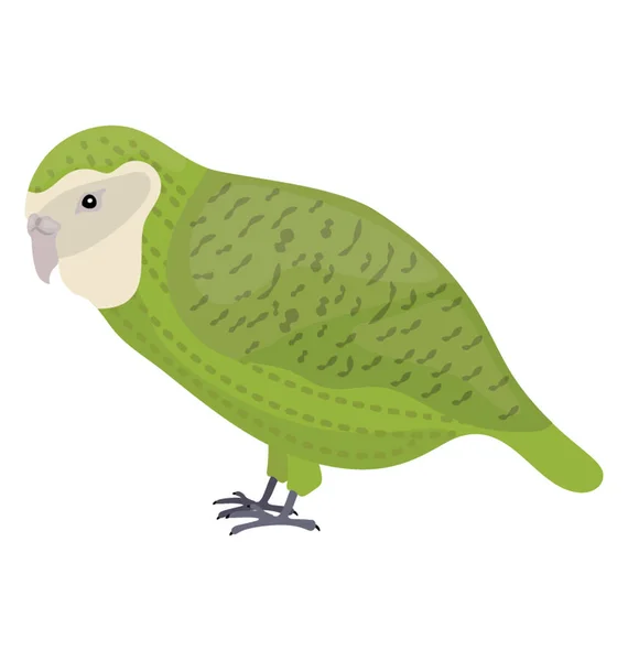 Зелений Птах Білим Обличчям Чернець Папуга — стоковий вектор
