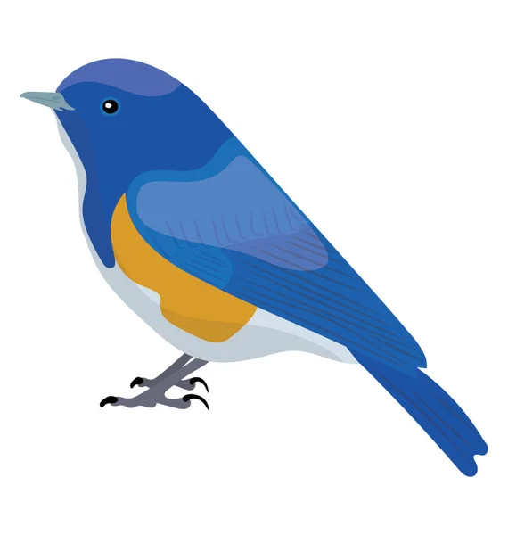 Blå Färgade Papegoja Som Fågel Med Små Fötter Blå Fåglar — Stock vektor