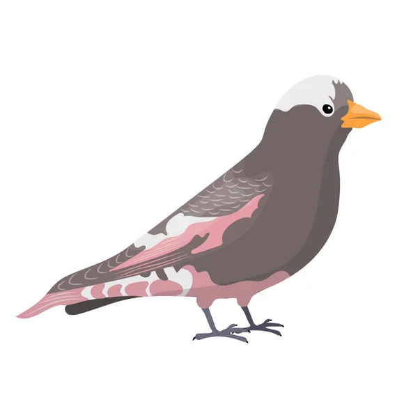 Pájaro Pico Pequeño Multicolor Simbolizando Pinzón Rosado Negro — Archivo Imágenes Vectoriales