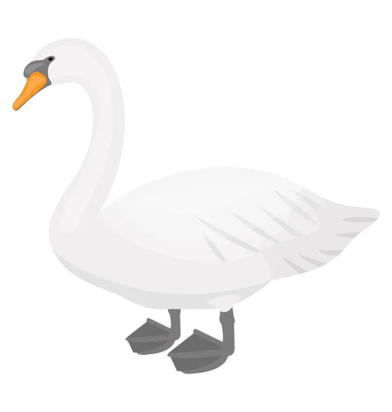Berühmter Haustiervogel Weißer Farbe Ente — Stockvektor