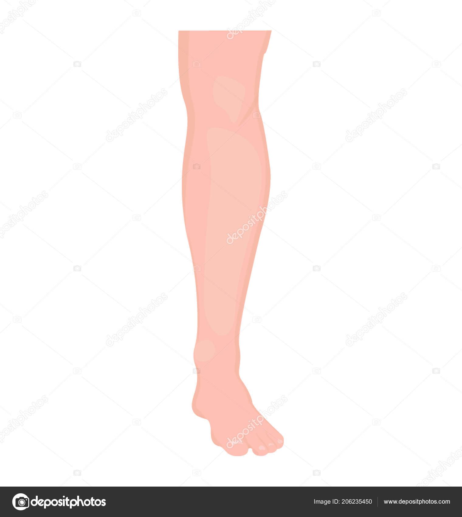 Leg Foot Denoting Leg Icon Stock Vector Image by ©vectorsmarket #206235450