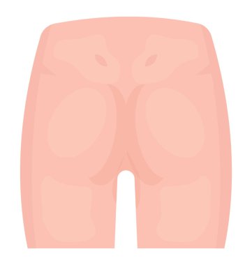 Arka kalça simgesi gösterilen bazı kemikler ile daha düşük vücut