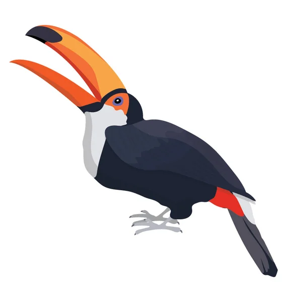 Crow Jako Barevný Pták Dlouhým Zobákem Toco Tukan — Stockový vektor