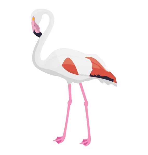 Long thin bird animal with pointed beak, crane bird - Stock Image - Everypixel Long thin bird animal with pointed beak, crane bird - Stock Image - Everypixel