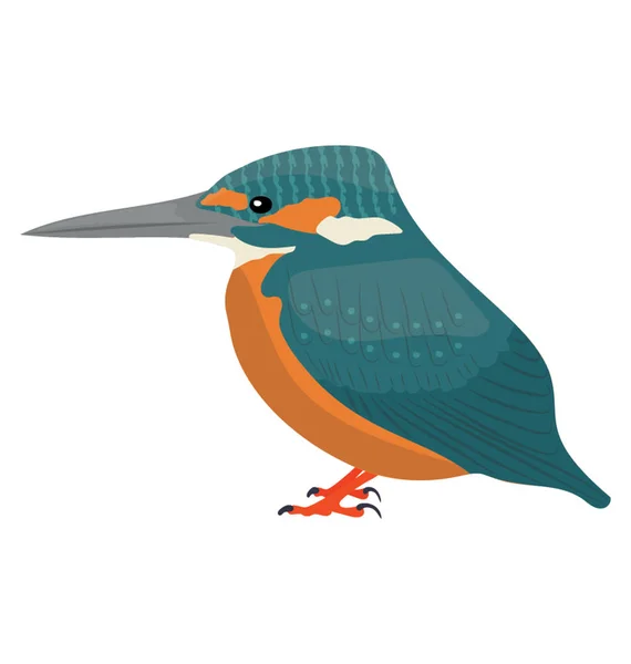 Pequeño Pájaro Colorido Con Vientre Inferior Naranja Martín Pescador — Vector de stock