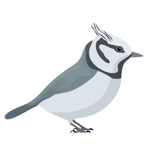 Pássaro Pequeno Com Pequena Coroa Cabeça Retratando Titmouse — Vetor de Stock
