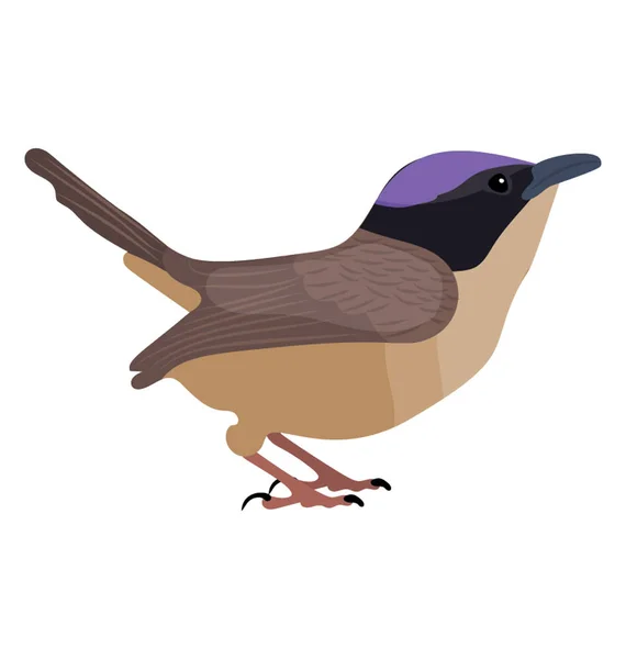 Mavi Kafa Kuzey Kuyrukkakan Resmeden Bir Kahverengi Kuş — Stok Vektör
