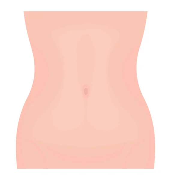 人体形の腹部画像表示の前面側 — ストックベクタ