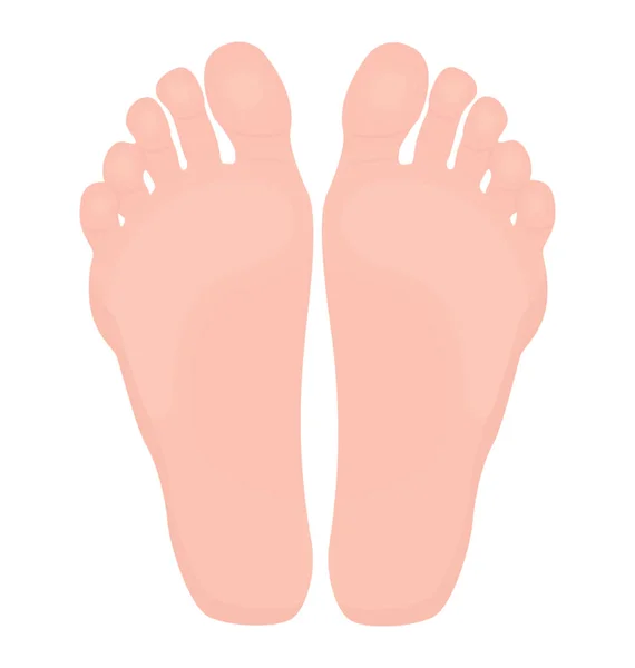 Pair Walking Organs Human Feet Icon — Stock Vector