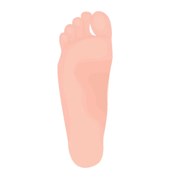 Hinderlicher Teil Des Fußes Einem Symbol Das Die Fußsohle Bezeichnet — Stockvektor