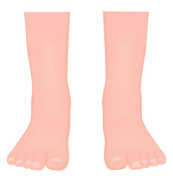 Pair of walking organs, the human feet icon