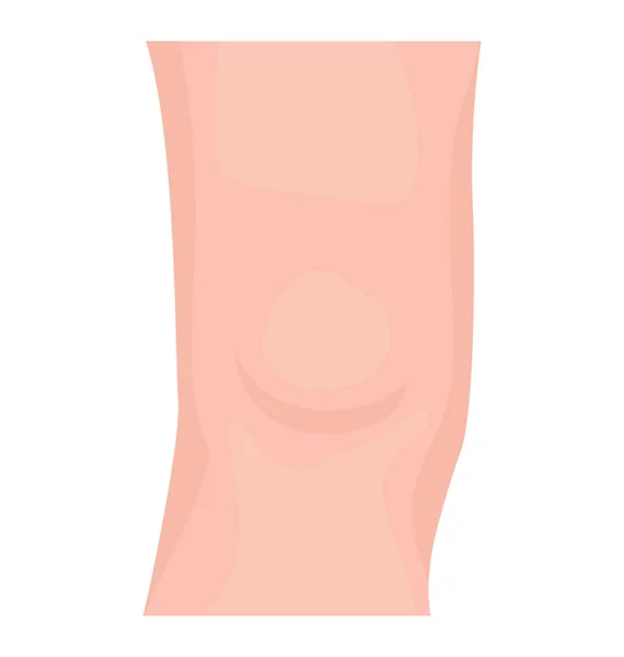 Legs Knees Denoting Knee Icon — Stock Vector