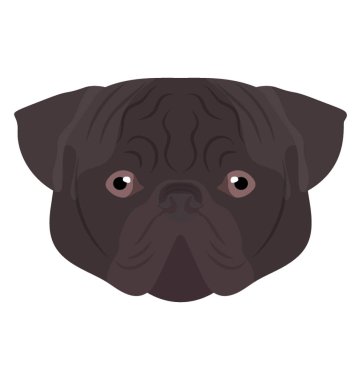 Vahşi ağır bir köpek küçük parlak gözler, staffordshire boğa ile karşı karşıya. 