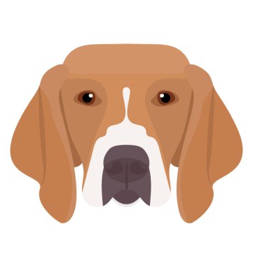 Şirin bir köpek çekik gözler ve kulaklar, aşağı beagle 