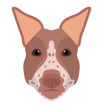 Bir yerli doğurmak-in köpek doberman ifade eden emniyet amaçla devam etti. 