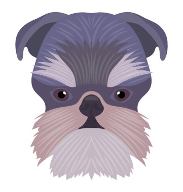 Ağır bir köpek kabarık tüylü yüz ve vahşi gözler, boksör ile karşı karşıya. 