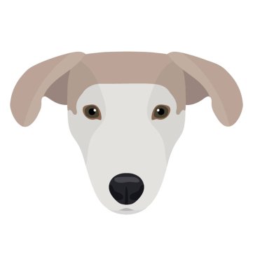 Bir köpek sahip sıra dışı kulakları ve küçük küçük gözleri, labrador geri almak 