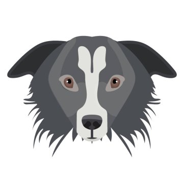 A hayvan sürüsü köpek doğurmak içinde siyah ve beyaz yüz, kenar kömür ocağı 