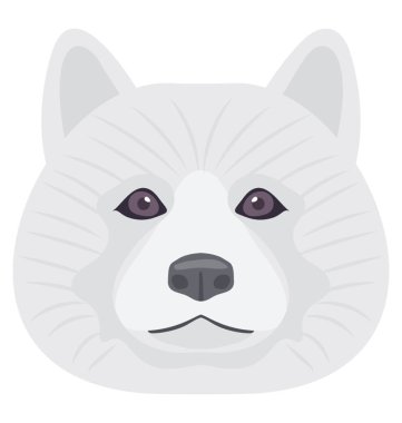 Küçük gözüm kulağım siberian dış yapraklar ifade eden dik bir sevimli beyaz köpekle