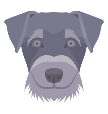 Bulldog düşük kulaklar ve ağır yüz staffordshire boğa kabartmaları ile bir tür