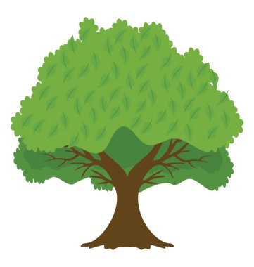 Bir taze meyve ağacı, elma ağacı 