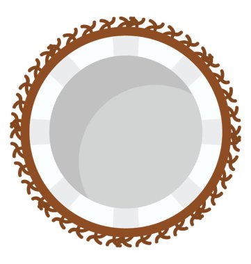 Hindistan cevizi resmeden bir tropikal meyve taze yuvarlak biçim