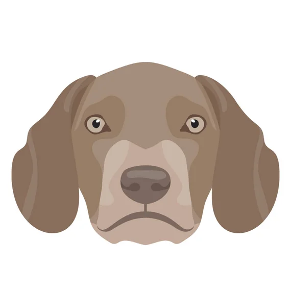 Şirin Bir Köpek Çekik Gözler Kulaklar Aşağı Beagle — Stok Vektör