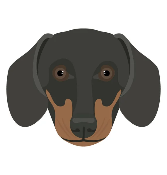 Ротвейлер Дикі Собаки Чорні Обличчя Диких Погляд — стоковий вектор