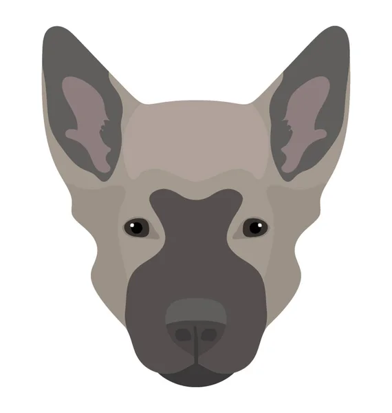 Собака Островов Прямыми Ушами Седым Лицом Аляскинский Маламут — стоковый вектор