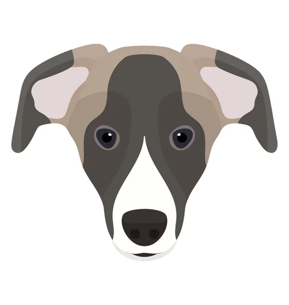 Собака Пушистой Кожей Маленьким Лицом Представляющая Австралийского Пастуха — стоковый вектор