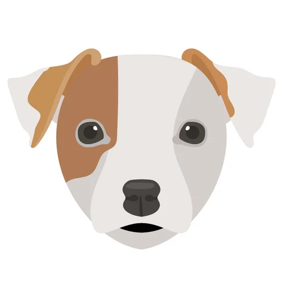 White Brown Cute Dog Ears Denoting Basset Hound — Stock Vector