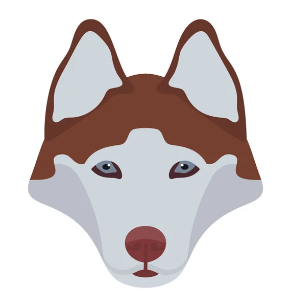 Порода Собак Великої Рогатої Худоби Невинним Обличчям Педроке Валлійський — стоковий вектор