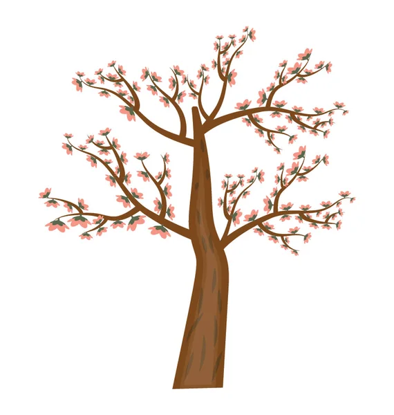 Красивые Розовые Цветы Дереве Весна Цветет Дерево — стоковый вектор
