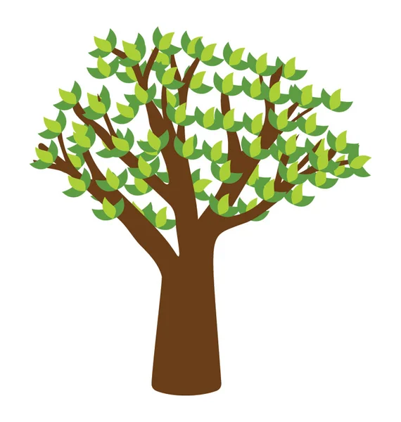 Árbol Álamo Rápido Crecimiento Comedor Icono Del Árbol Algodon — Vector de stock