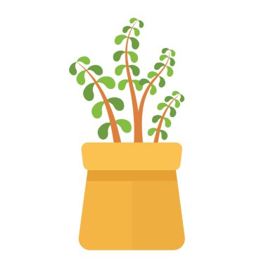 Uzun sapları ve küçük yaprakları ile bitki, yeşim bitki sahip bir çamur çömlek 