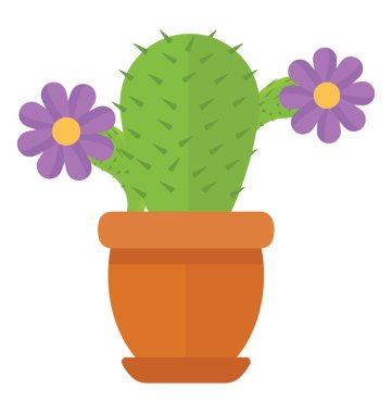 Bir kaktüs bitki çiçek echinocereus resmeden ile 