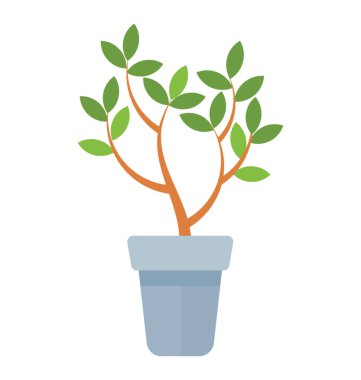 Schefflera arboricola tasvir yayılmış yapraklı bitki 