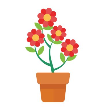 Bir bitki barberton daisy tasvir eden kırmızı renkli küçük çiçekler 