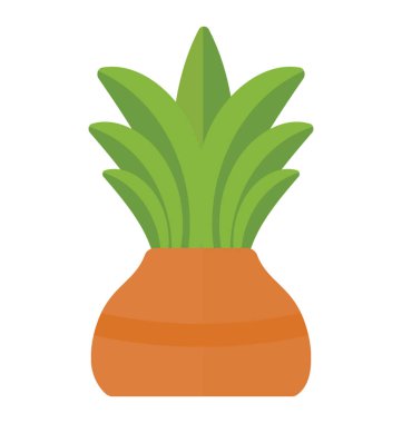 Aspidistra elatior tasvir eden bir tencereye bir geniş çiçekli gibi bırakır 