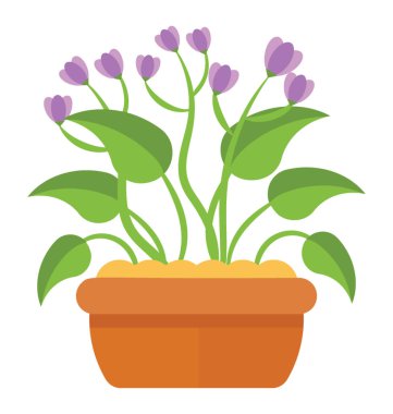 Amaç, african violet güzelleştirici çiçekli bitki potu 