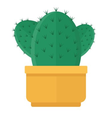 Dikenler, kapalı inciri ile düz şekil sahip bir pot bırakır 