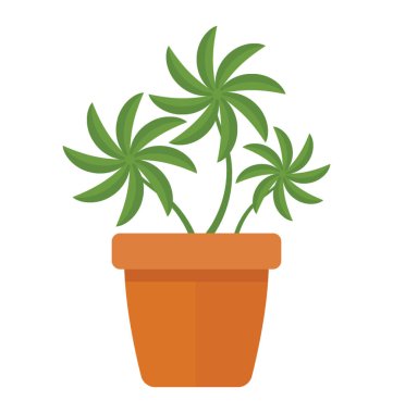 Küçük çiçek yaprakları bir tencerede gibi houseplant 