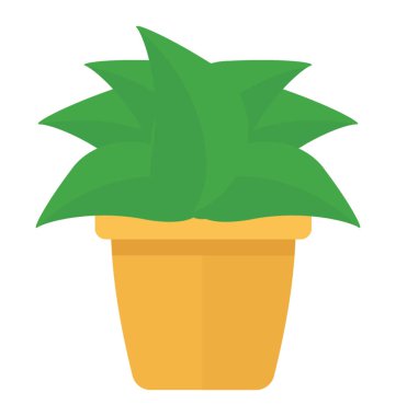 Aspidistra elatior tasvir eden bir tencereye bir geniş çiçekli gibi bırakır 