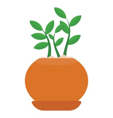 Schefflera arboricola tasvir yayılmış yapraklı bitki 