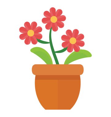 Çiçekli bir bitki yaprakları ve belirtir barberton daisy kaynaklanıyor 