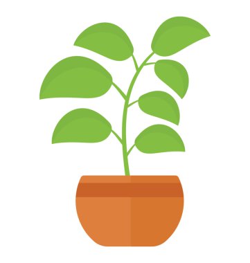 İnce gövde, bryophyllum pinnatum ile baştan yapraklı bitki