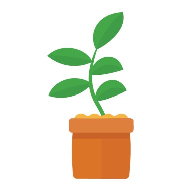 Kauçuk incir tasvir eden orta boy bir bitki yaprakları 