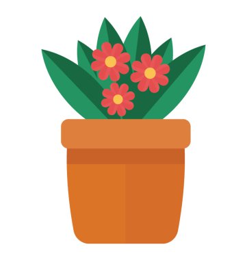 Üstünde o gerbera bitki tasvir farklı renklerde küçük çiçekli bir bitki 