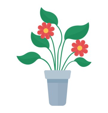 Üzerinde barberton daisy tasvir eden küçük renkli çiçekler sahip bir bitki 